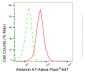 KD-Validated Anti-Annexin A7 Rabbit Monoclonal Antibody